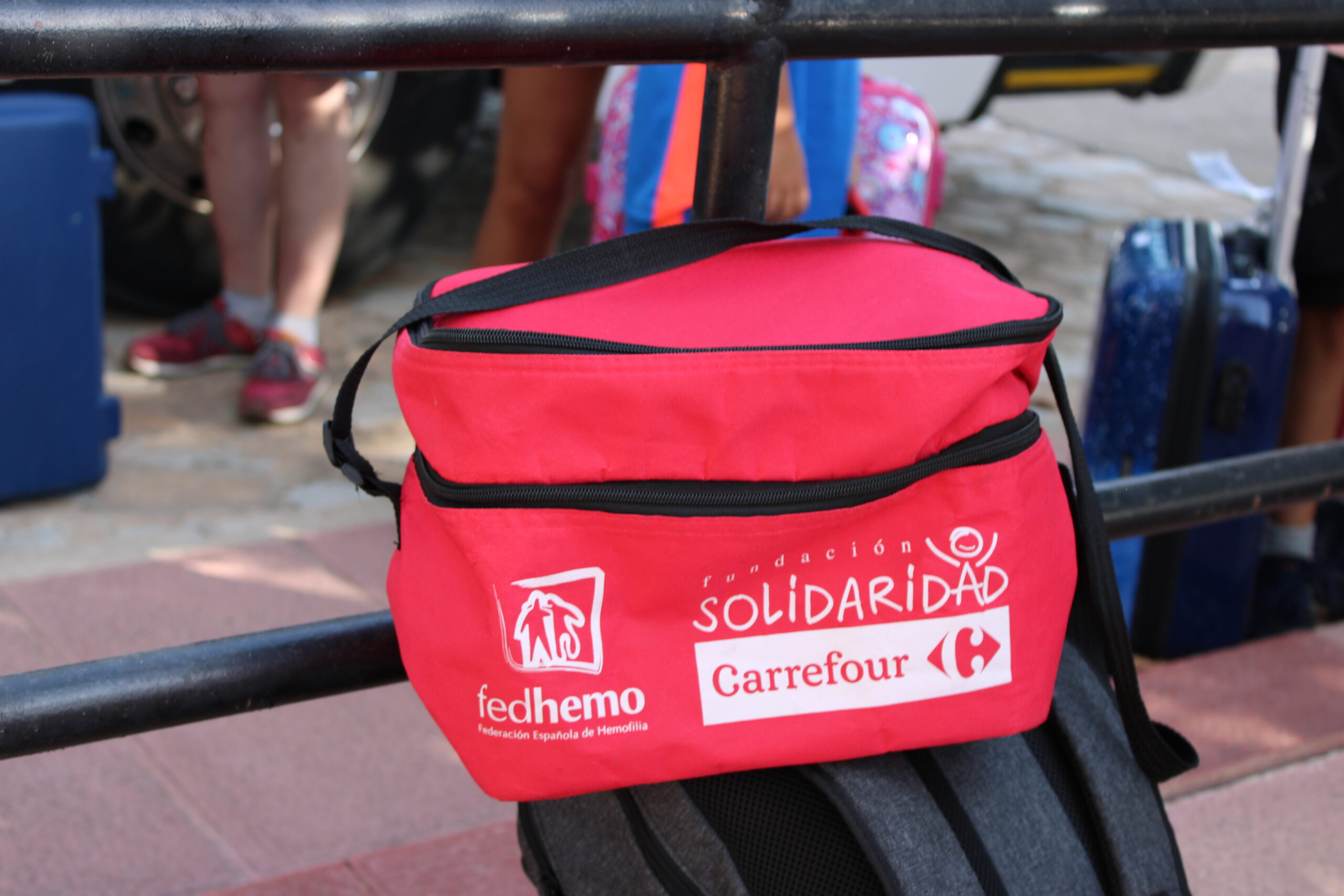 Fundación Solidaridad Carrefour dona 30.000 euros a Fedhemo en beneficio de 1.000 menores con hemofilia y otras coagulopatías congénitas de toda España
