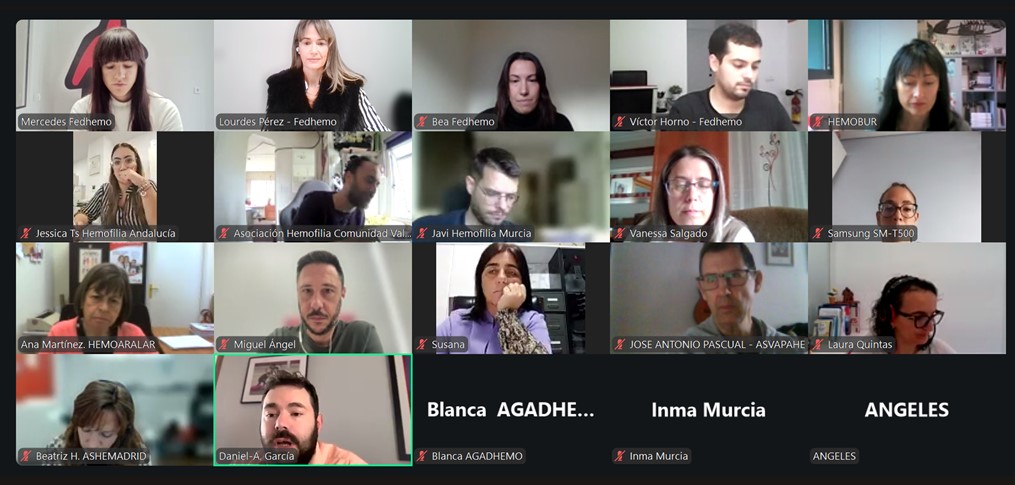 Formación para personal técnico de las asociaciones de Fedhemo